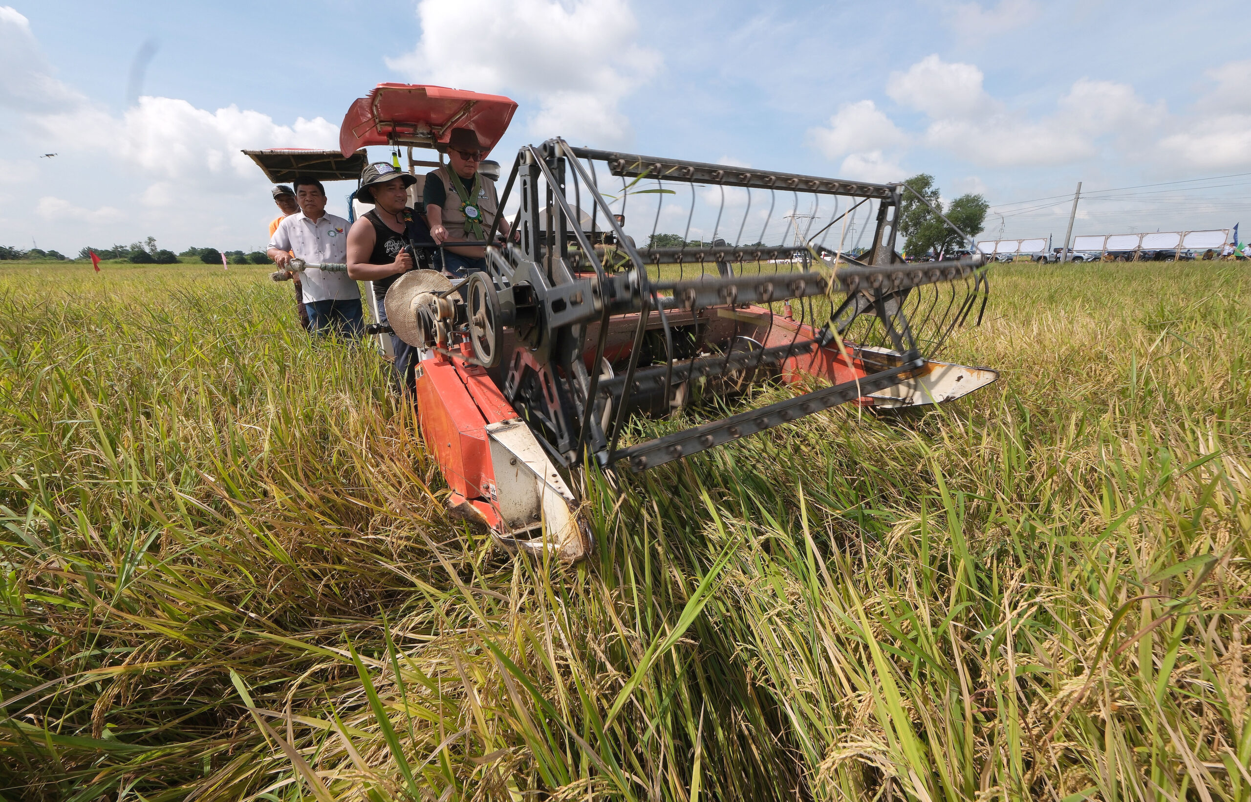 harvest-fest_13-scaled