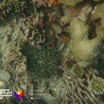 597193683_1169098655373961_450339747628900921_n